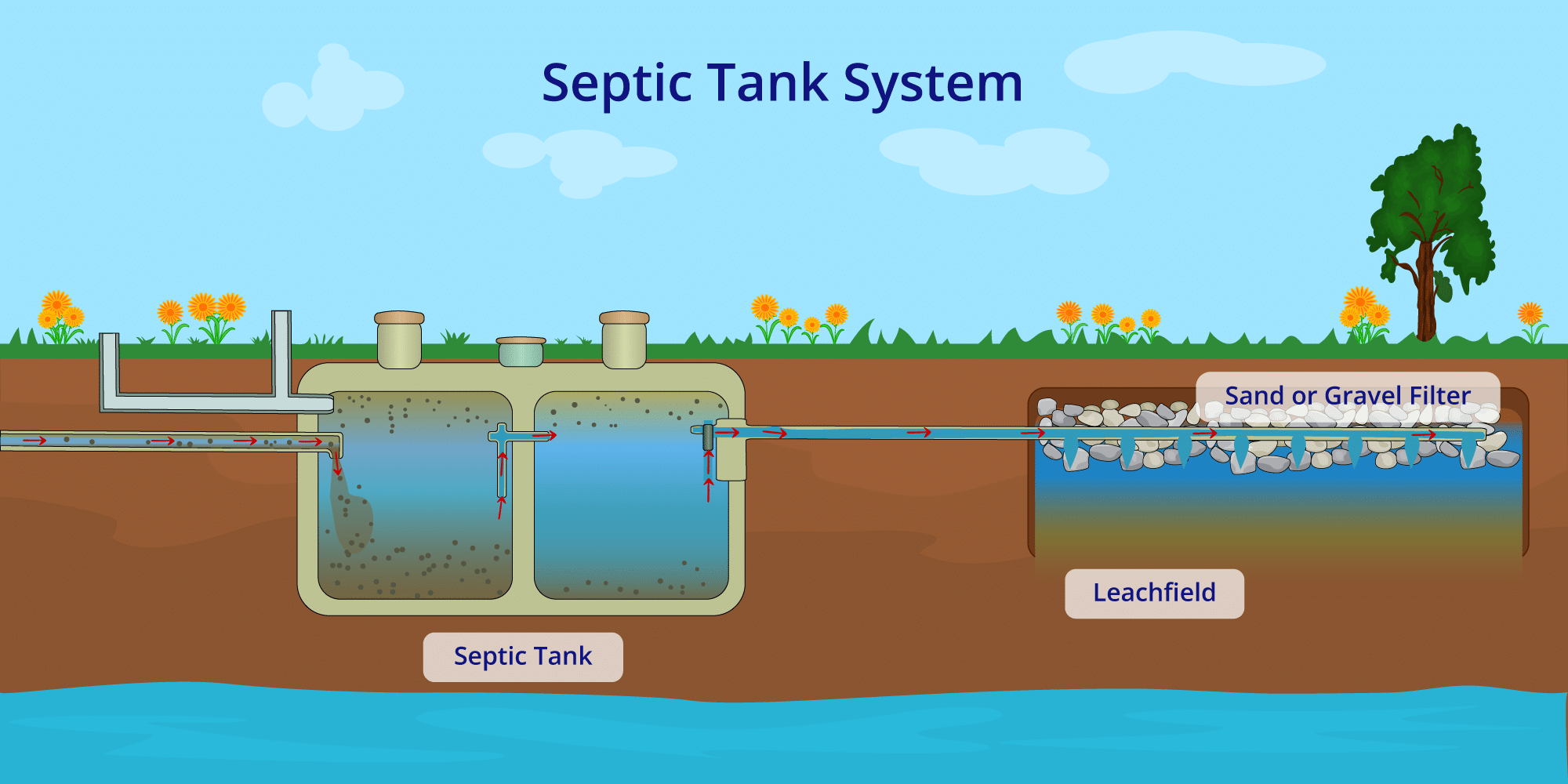 Graphic of a Septic System and its parts